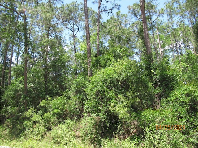 1795 Sherwood St, Bunnell FL, 32110 land for sale