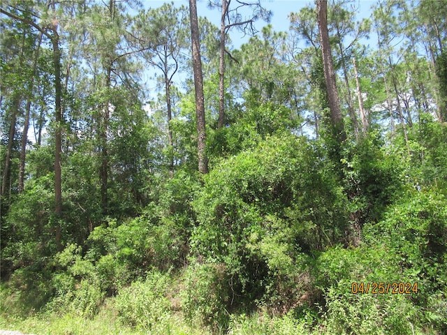 2166 County Road 305, Bunnell FL, 32110 land for sale