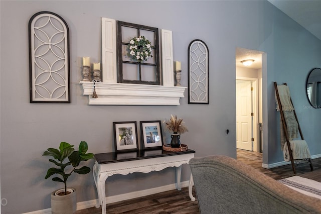 living area with dark hardwood / wood-style floors