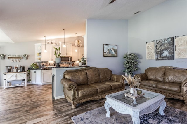 living room with dark hardwood / wood-style flooring, vaulted ceiling, and a textured ceiling