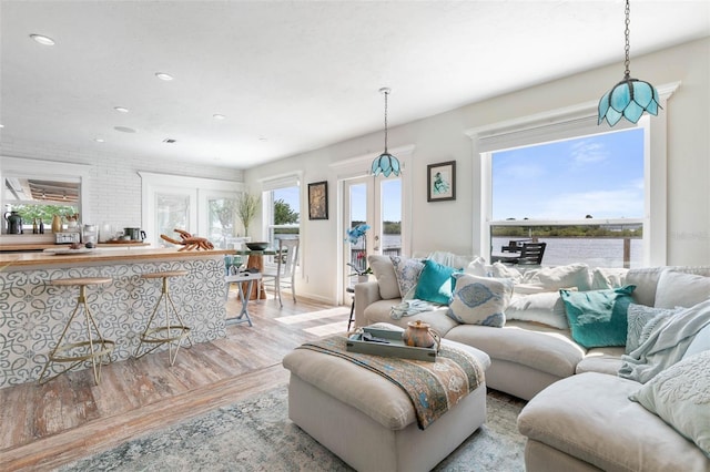 living room featuring hardwood / wood-style floors, plenty of natural light, and french doors