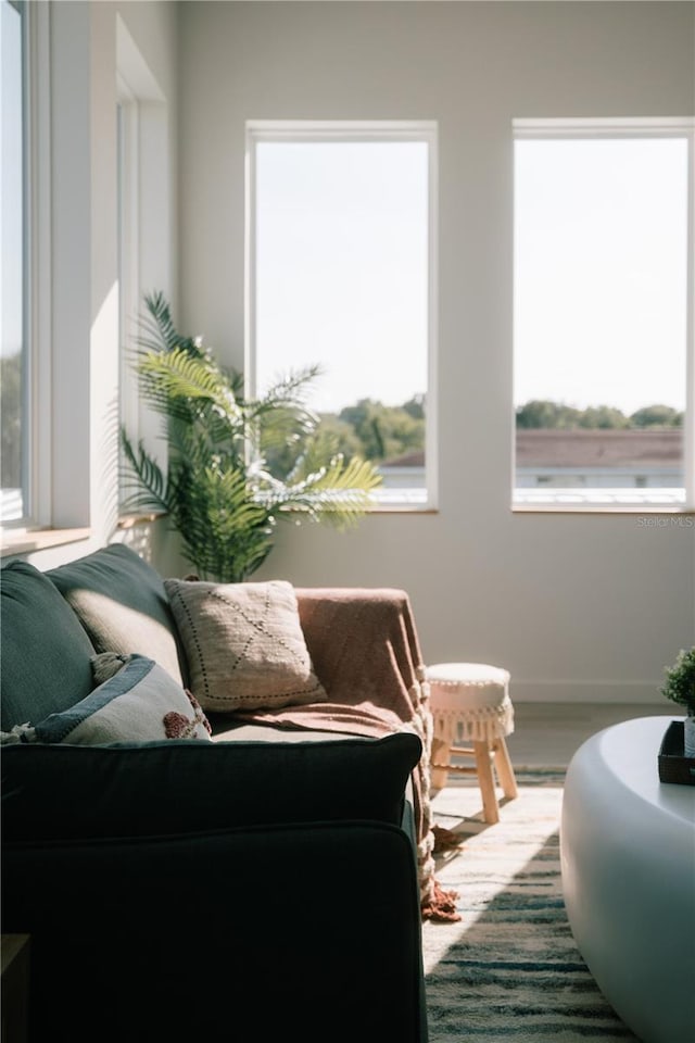 interior space with plenty of natural light and wood-type flooring