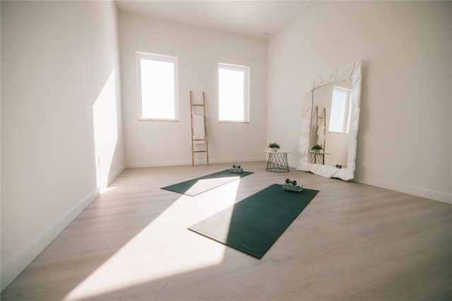 workout area featuring light hardwood / wood-style floors