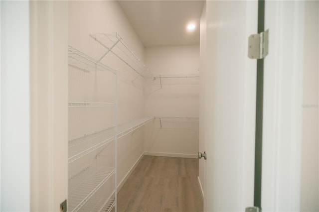 walk in closet featuring hardwood / wood-style flooring