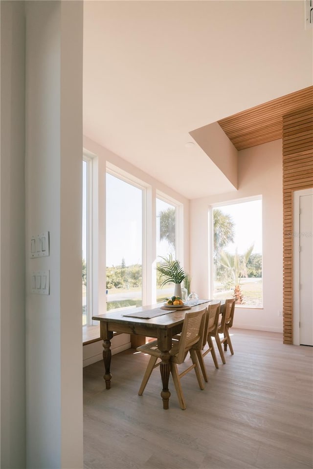 dining room with light hardwood / wood-style floors