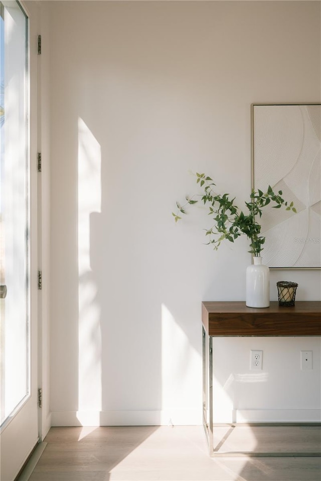 entrance foyer featuring light hardwood / wood-style flooring