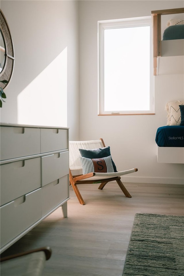 living area with light hardwood / wood-style flooring