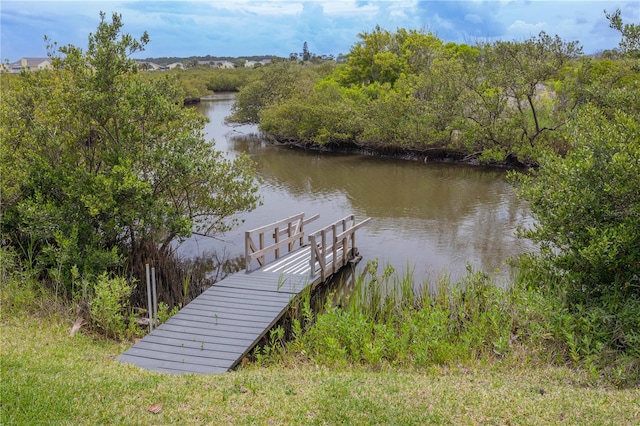 dock area with a water view