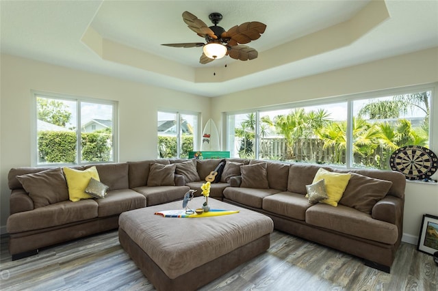 living room featuring ceiling fan, a raised ceiling, and hardwood / wood-style flooring