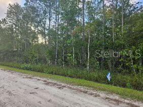 4245 Florence St, Hastings FL, 32145 land for sale