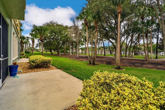 view of yard with a patio area