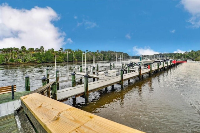 dock area with a water view