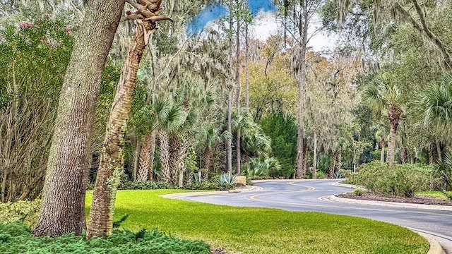 view of property's community with a yard