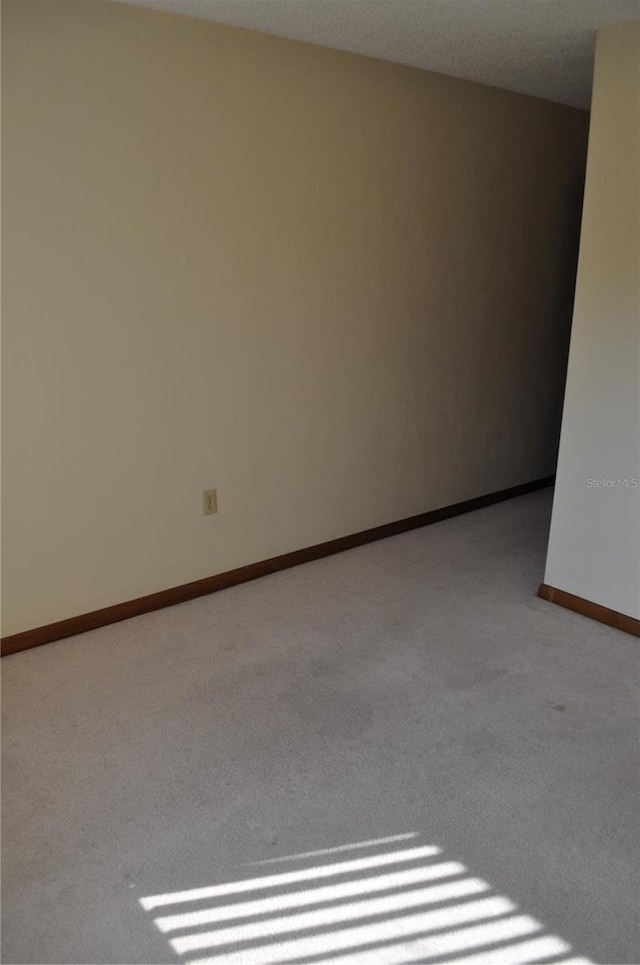 unfurnished room featuring carpet