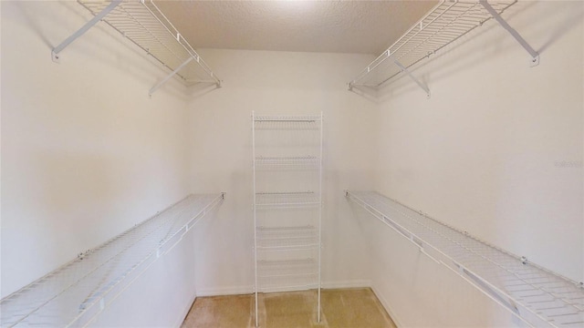 view of walk in closet