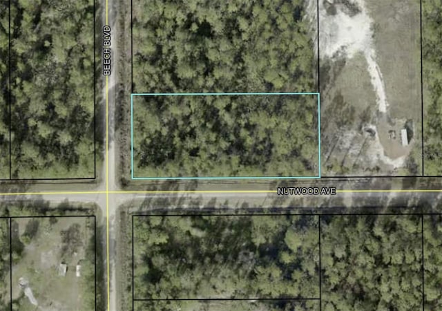 2655 Beech Blvd, Bunnell FL, 32110 land for sale