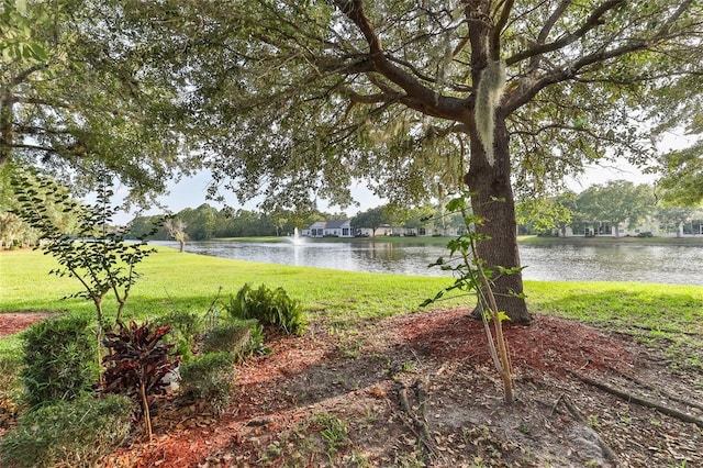 view of yard featuring a water view