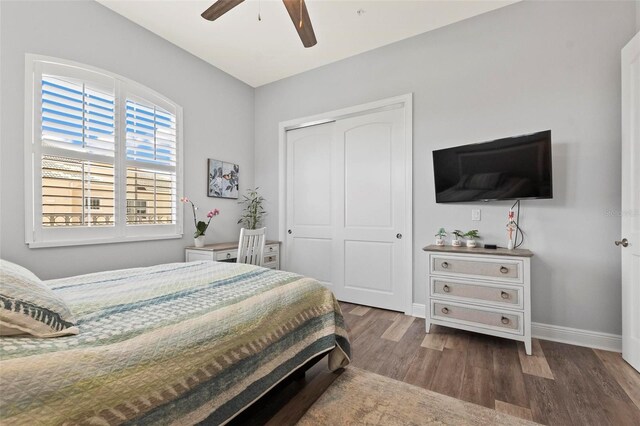 bedroom featuring ceiling fan, multiple windows, a closet, and dark wood-type flooring