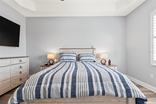 bedroom featuring a tray ceiling and hardwood / wood-style flooring