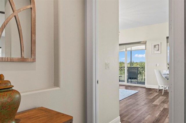 hallway featuring hardwood / wood-style floors