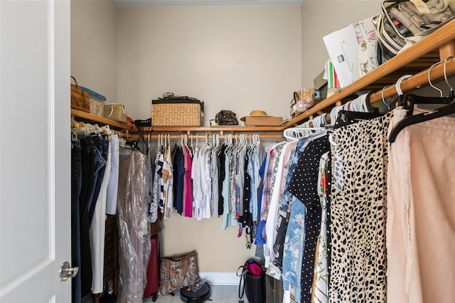 view of walk in closet