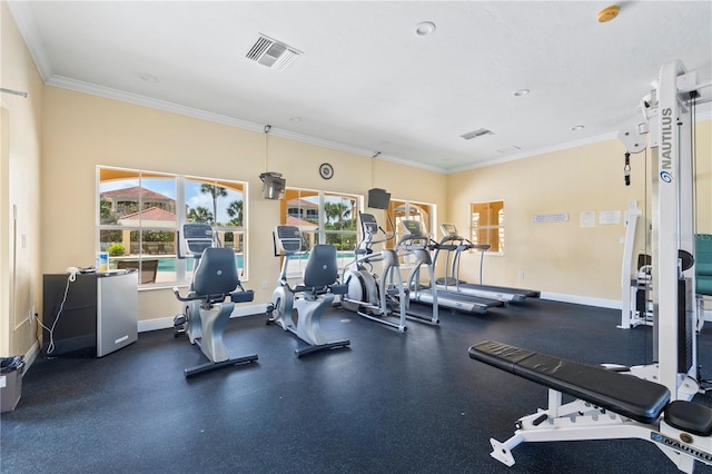 workout area with a wealth of natural light and crown molding