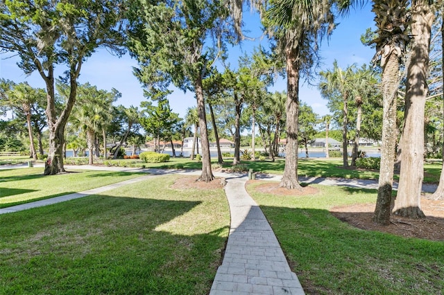 view of community featuring a lawn