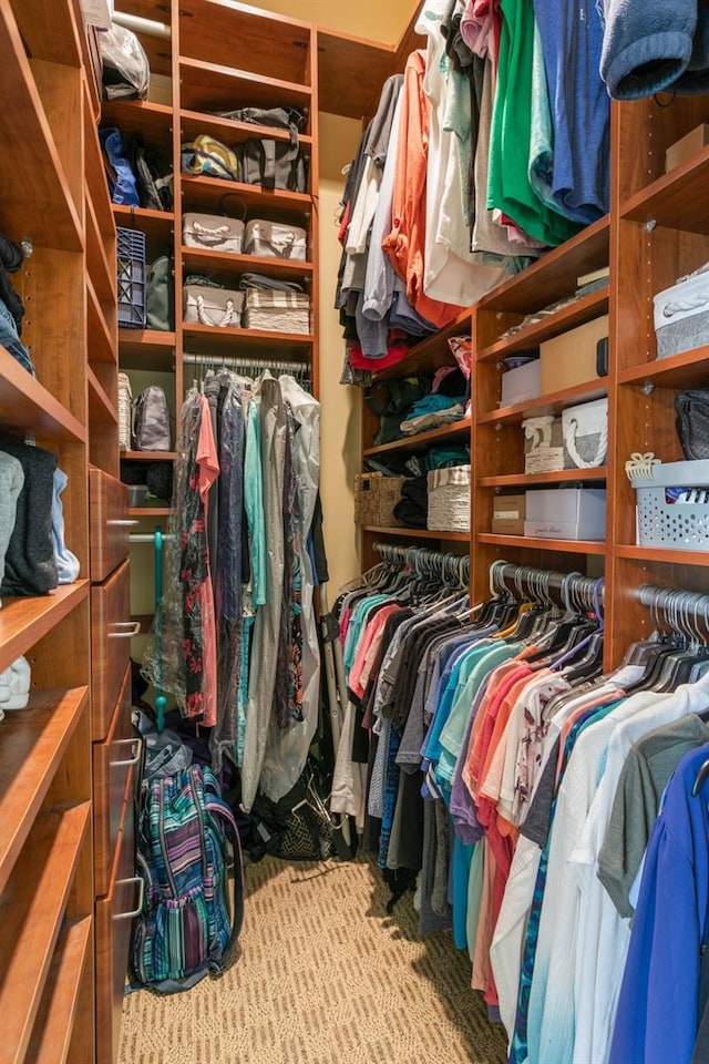 view of spacious closet