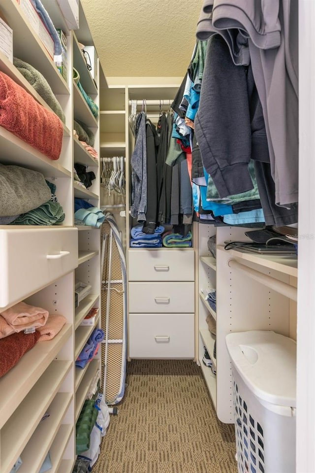 spacious closet with light colored carpet