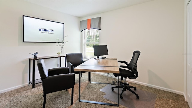 office featuring carpet flooring