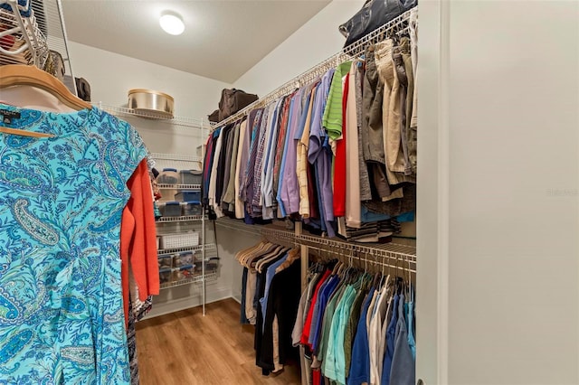 spacious closet with hardwood / wood-style flooring