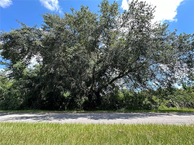 828 Paradise Blvd, Georgetown FL, 32139 land for sale