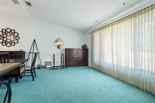 interior space with a textured ceiling, lofted ceiling, and carpet floors