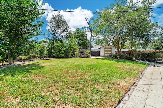 view of yard with a storage shed