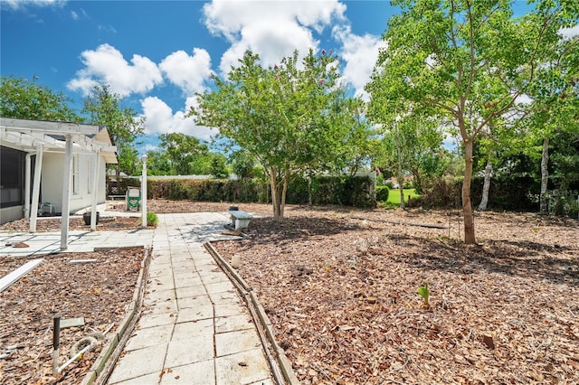 view of yard with a patio area