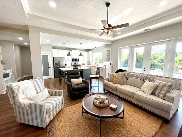 living room with a raised ceiling, dark hardwood / wood-style flooring, and a textured ceiling