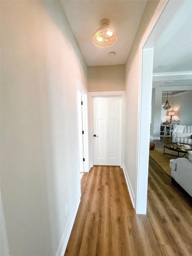 hall featuring hardwood / wood-style flooring