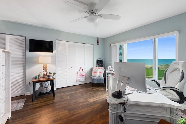 office space featuring dark hardwood / wood-style floors and ceiling fan