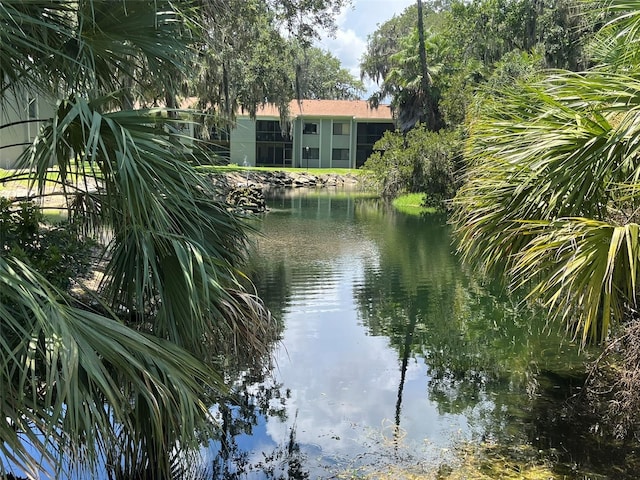 308 Palm Coast Pkwy NE Unit 203, Palm Coast, FL 32137 - photo 26