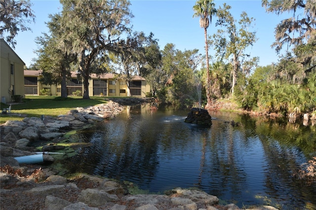 308 Palm Coast Pkwy NE Unit 203, Palm Coast, FL 32137 - photo 17
