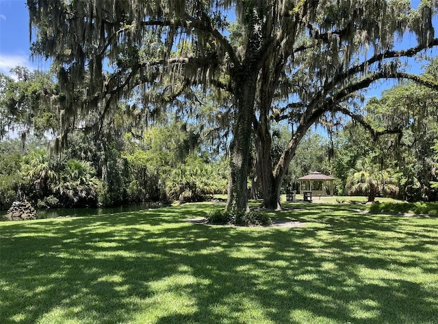 308 Palm Coast Pkwy NE Unit 203, Palm Coast, FL 32137 - photo 20