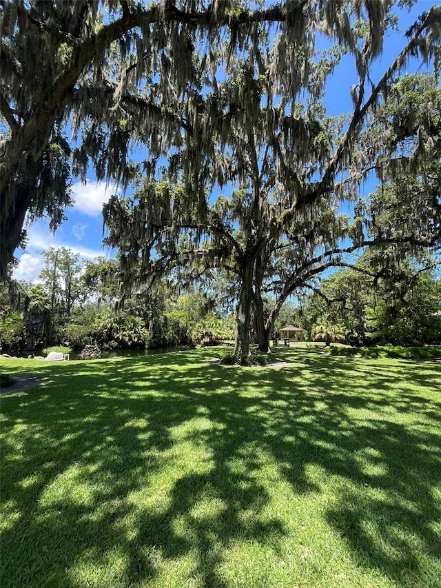 308 Palm Coast Pkwy NE Unit 203, Palm Coast, FL 32137 - photo 21