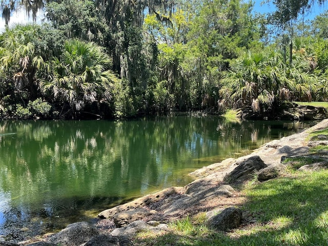 308 Palm Coast Pkwy NE Unit 203, Palm Coast, FL 32137 - photo 22