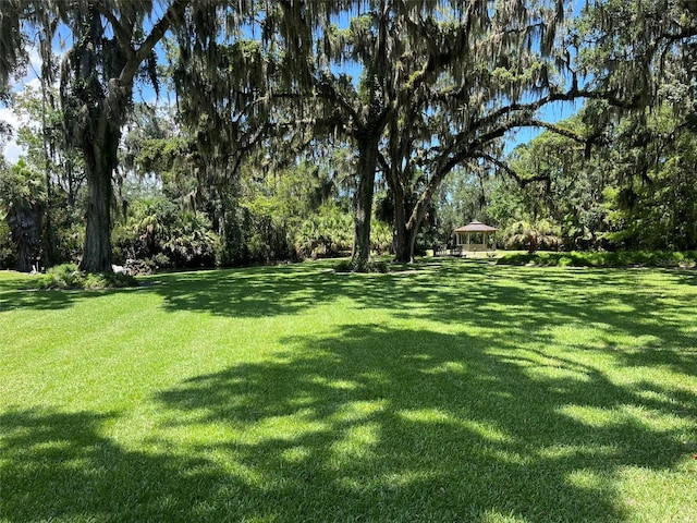 308 Palm Coast Pkwy NE Unit 203, Palm Coast, FL 32137 - photo 3