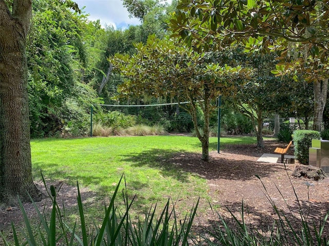 view of home's community featuring volleyball court and a lawn