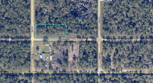 10730 Zigler Ave, Hastings FL, 32145 land for sale