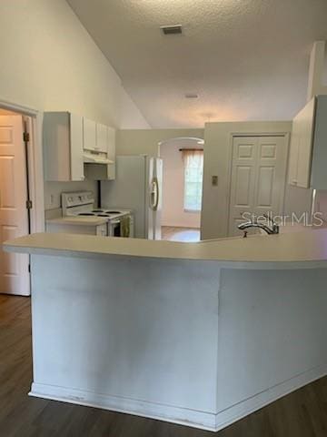 kitchen featuring vaulted ceiling, white range with electric stovetop, stainless steel fridge, and dark hardwood / wood-style floors