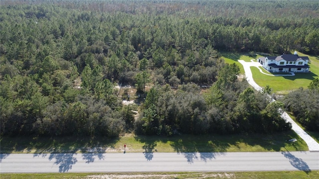 4107 Old Kings Rd N, Palm Coast FL, 32137 land for sale