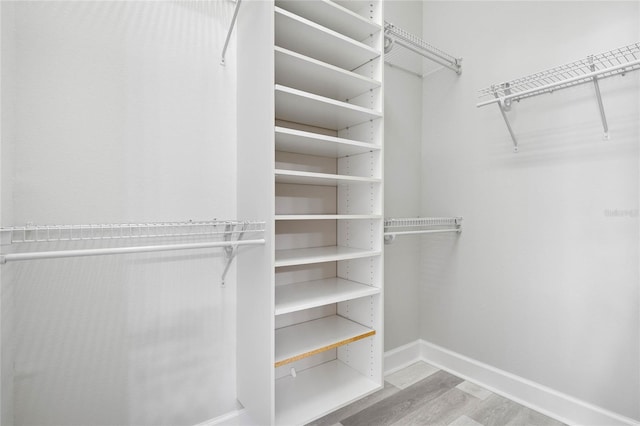 spacious closet featuring light hardwood / wood-style flooring