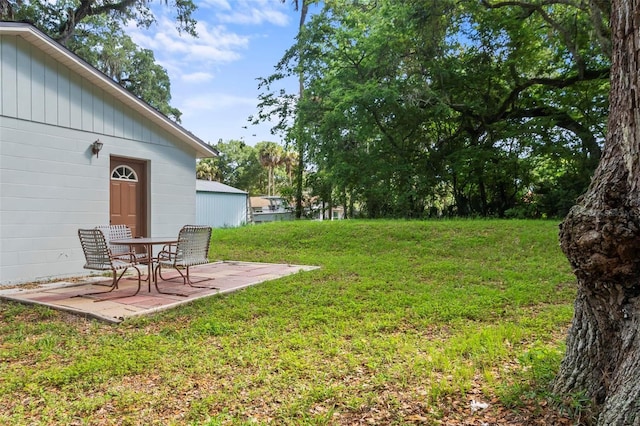 view of yard featuring a patio area